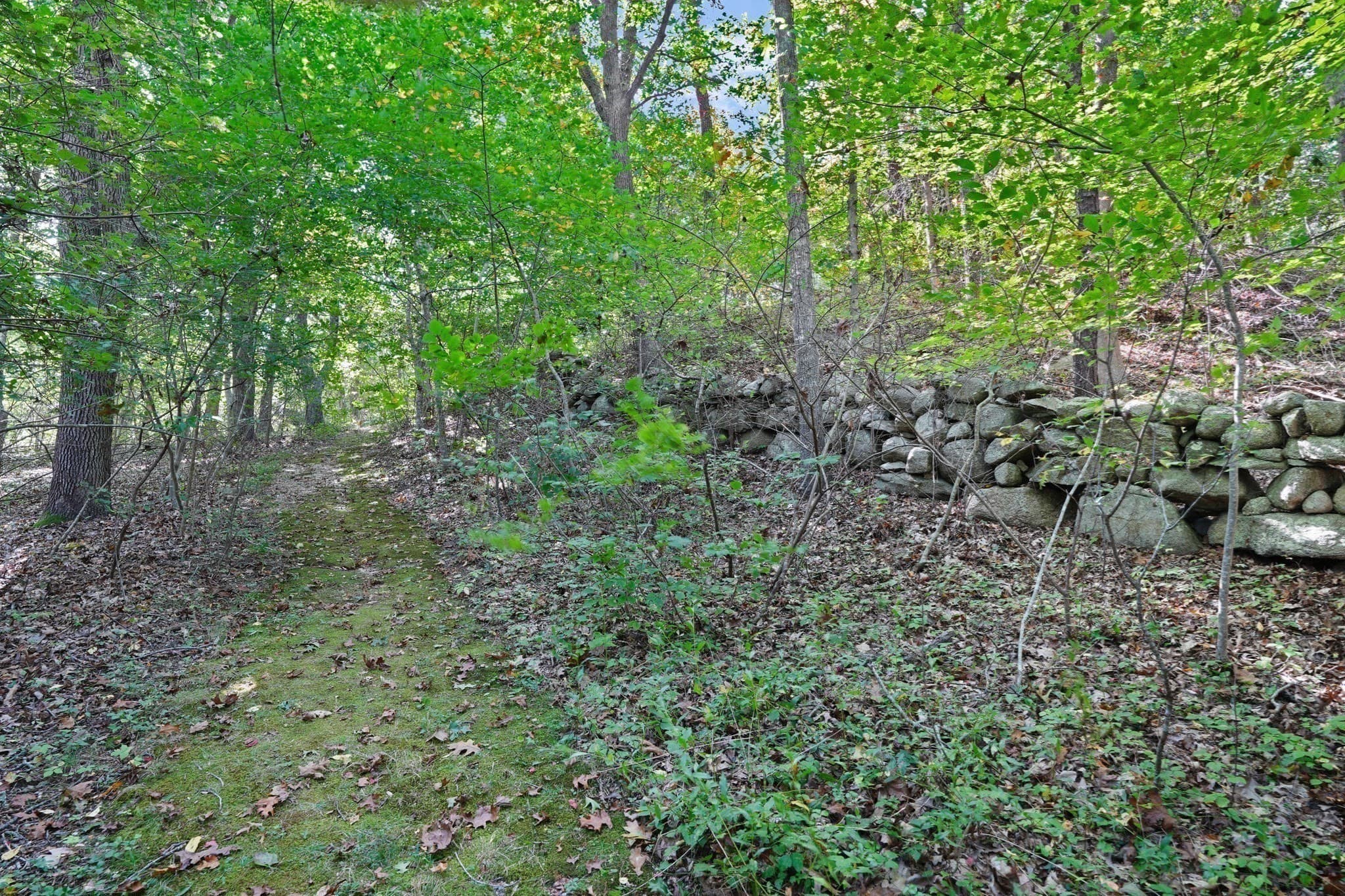 Single Family Residence at 21 & 25 Fulling Mill Road, Chilmark MA 02535, photo 27 of 42