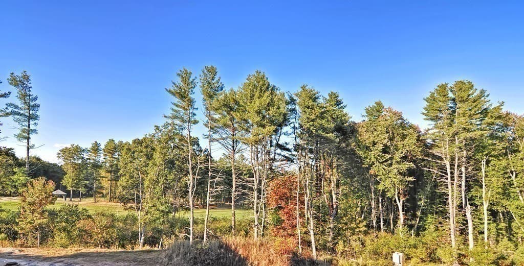 635 Old Post Road - Woodcrest Run # 211, Sharon MA 02067 photo 23