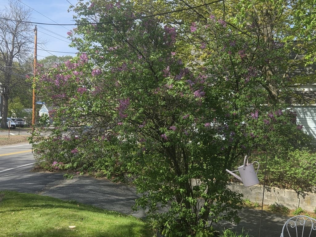 242 Pleasant Street, Leominster MA 01453 photo 29