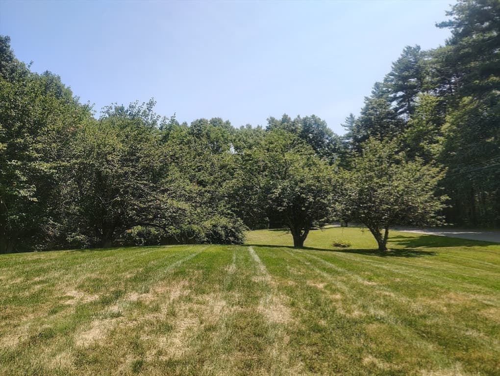 6 Forest Street, Raynham MA 02767 photo 39