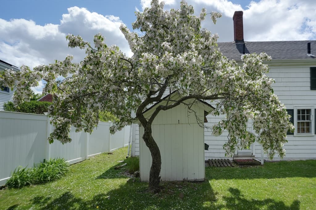 291 Brighton St, Belmont MA 02478 photo 11