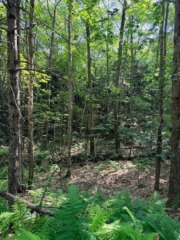 Lot 10A Bush Hill Road, Ashburnham MA 01430 photo 4