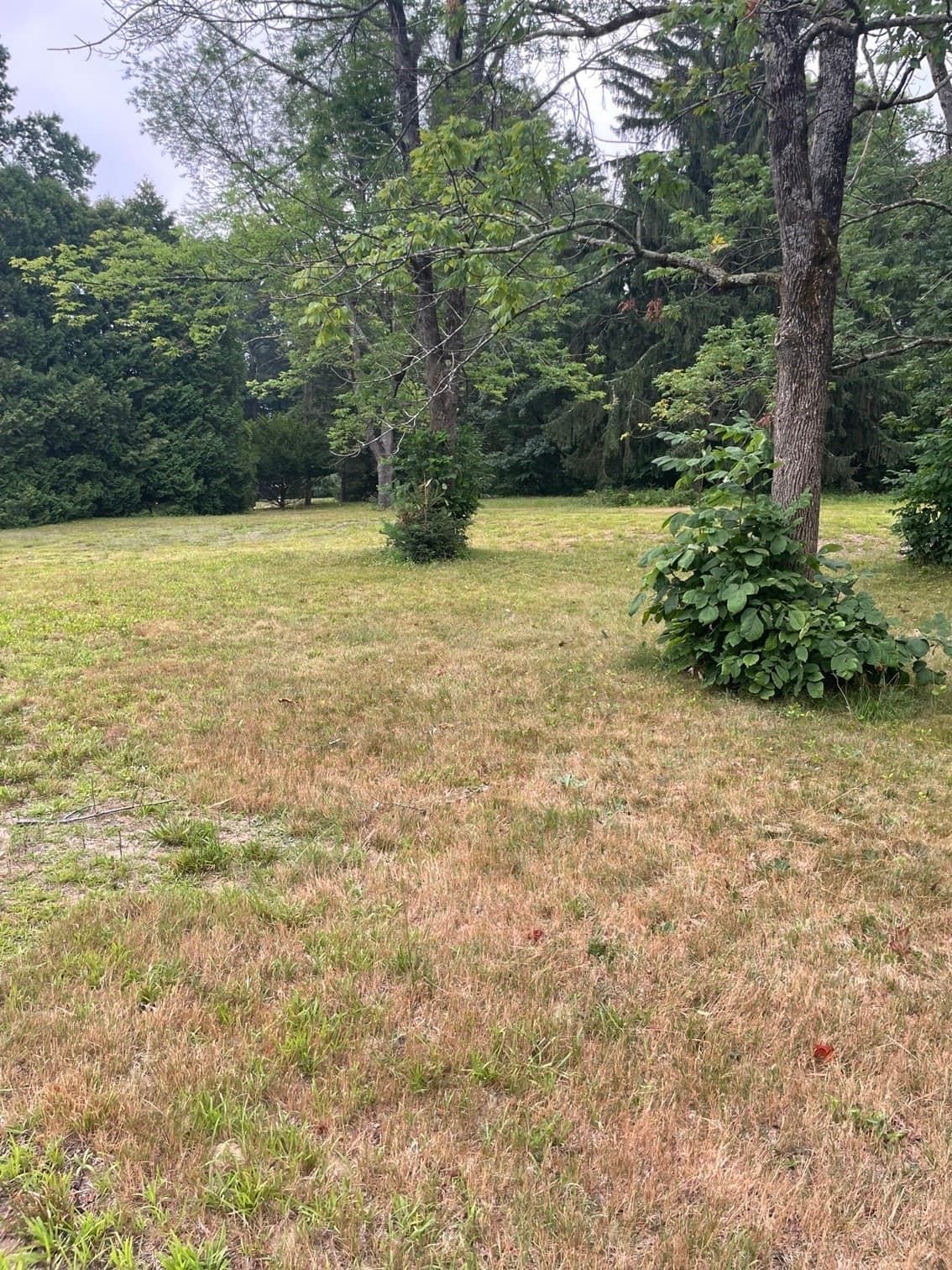Residential at Lot 56 Wequamps Drive, Deerfield MA 01373, photo 10 of 12