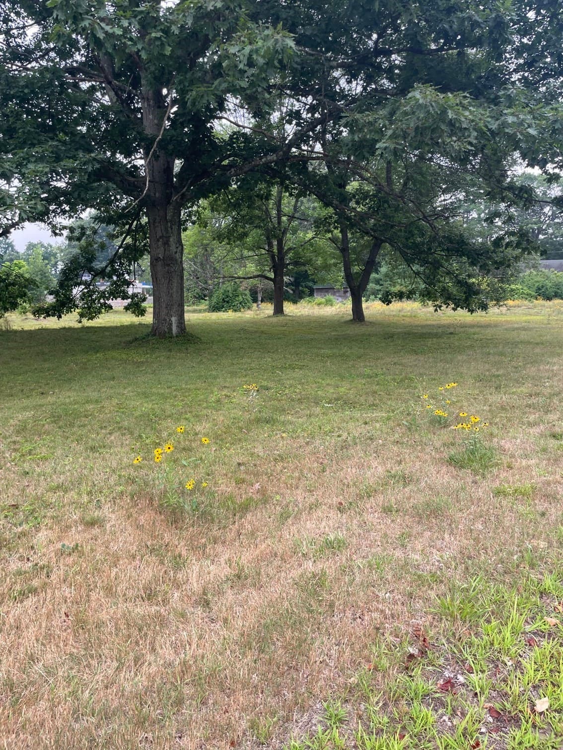 Residential at Lot 56 Wequamps Drive, Deerfield MA 01373, photo 8 of 12