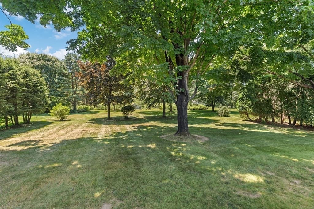 28 Pine Street, South Hadley MA 01075 photo 32