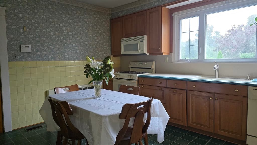21 Arbutus Road, Worcester MA 01606 photo 17