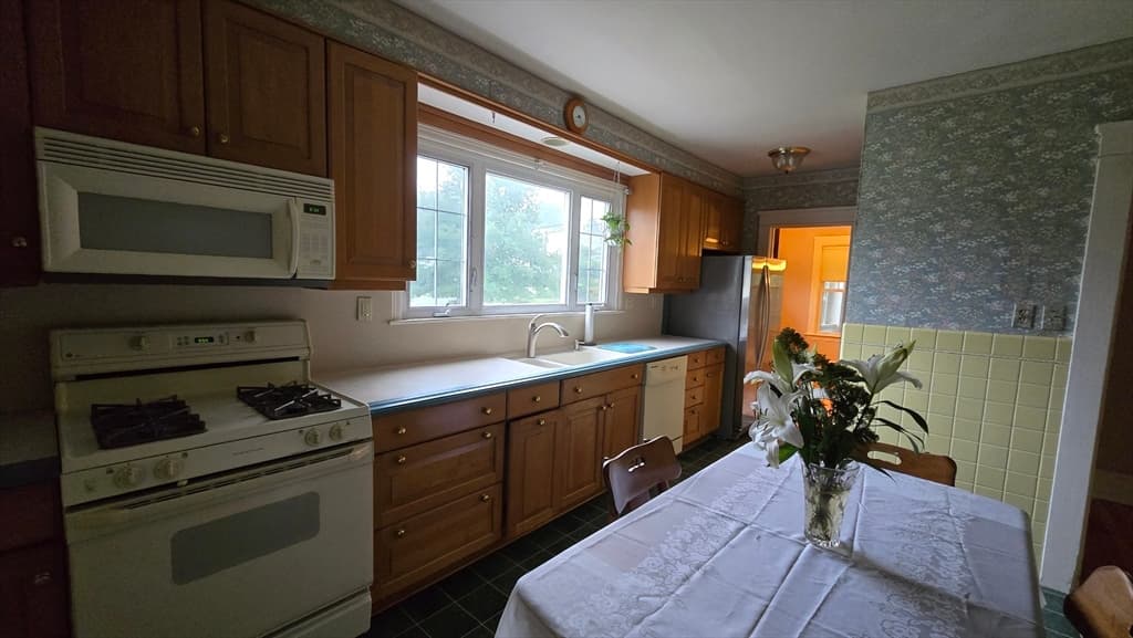 21 Arbutus Road, Worcester MA 01606 photo 20