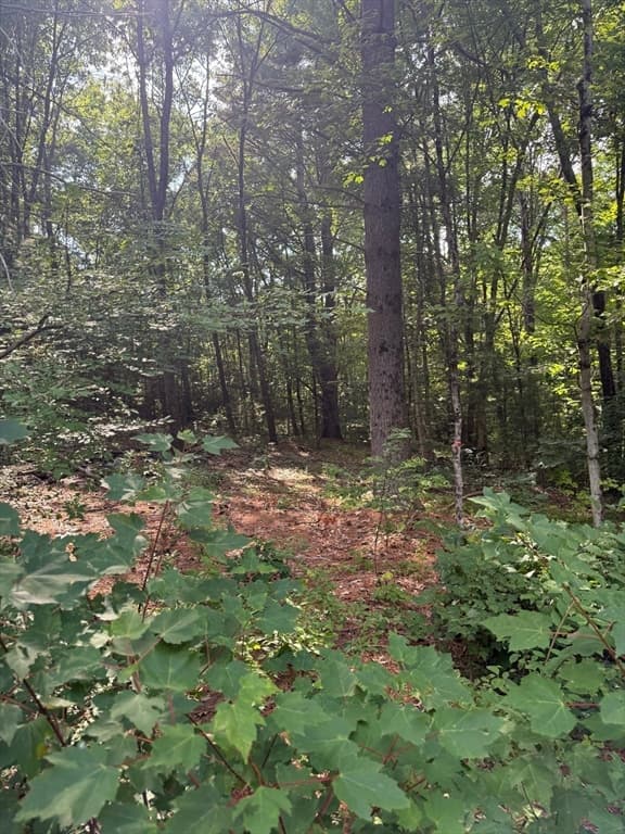 291 Warren Rd, Brimfield MA 01010 photo 3