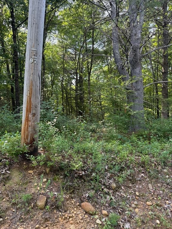291 Warren Rd, Brimfield MA 01010 photo 4