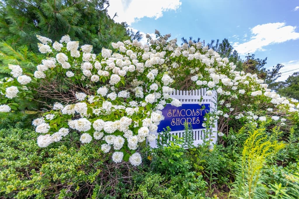 8 Hampden Rd, Falmouth MA 02536 photo 4