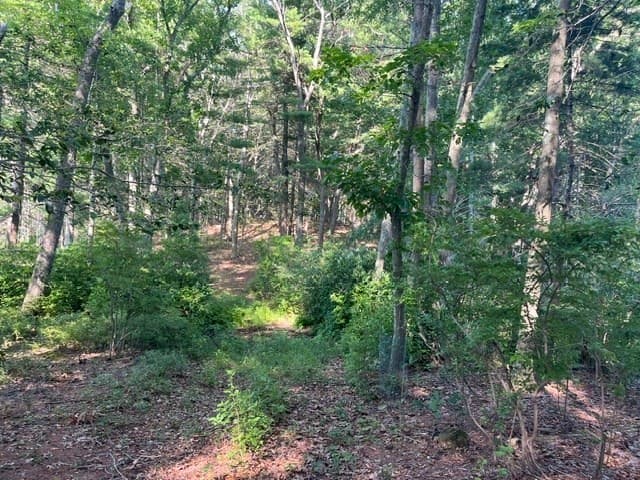162 Haverhill Rd, Topsfield MA 01983 photo 3
