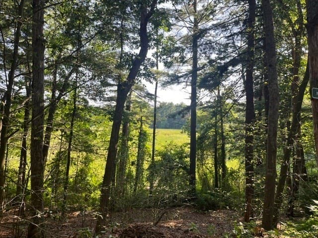 162 Haverhill Rd, Topsfield MA 01983