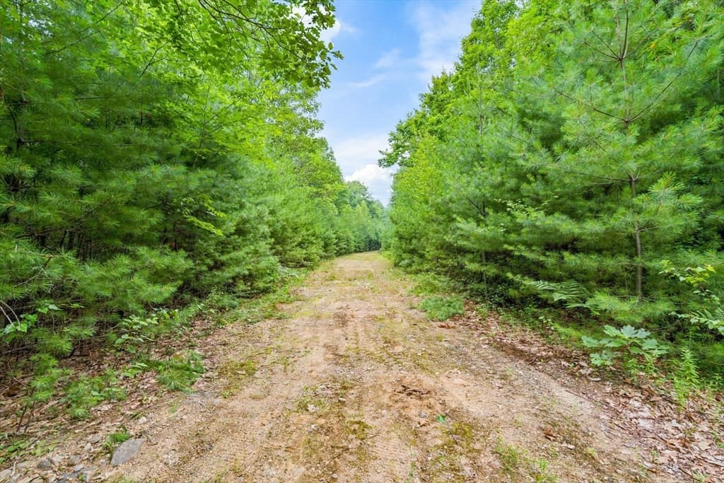 0 Lake Ave To Lake Ave Ext., Orange MA 01364 photo 7