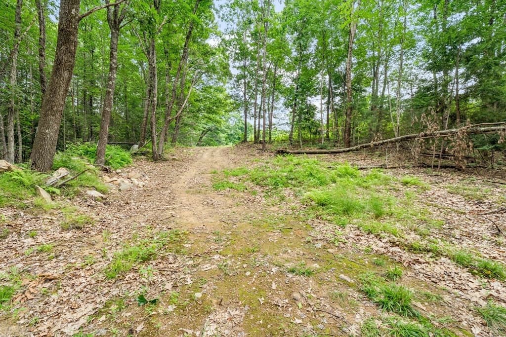 0 Lake Ave To Lake Ave Ext., Orange MA 01364 photo 9