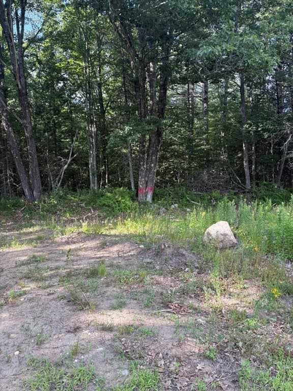0 Lake Ave To Lake Ave Ext., Orange MA 01364 photo 33