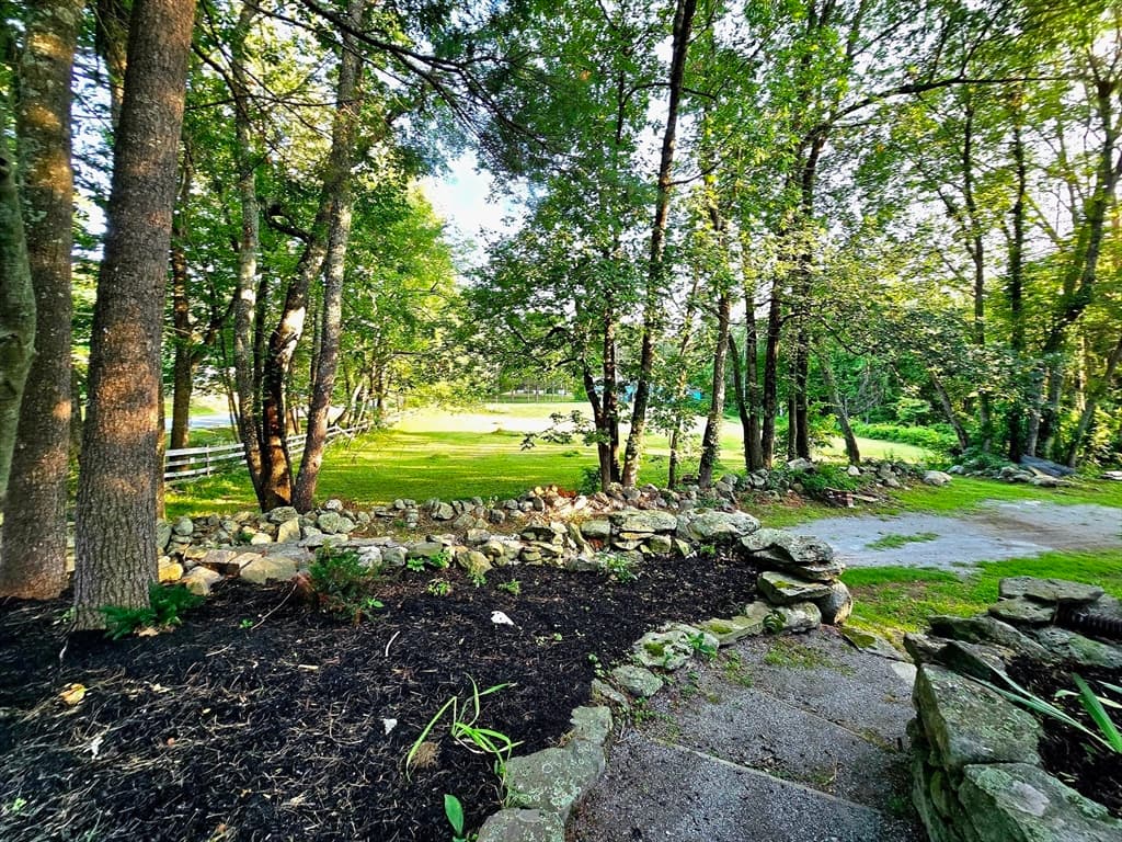 259 Salisbury St, Holden MA 01520 photo 35