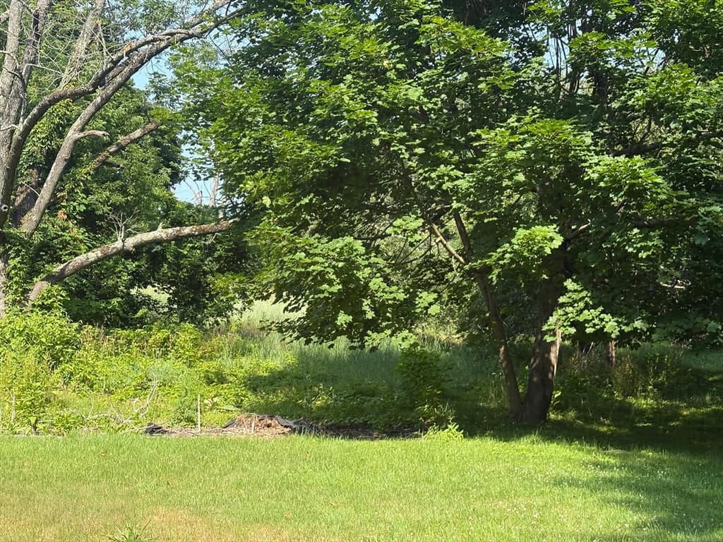 12 Nelson Pl, Worcester MA 01605 photo 6