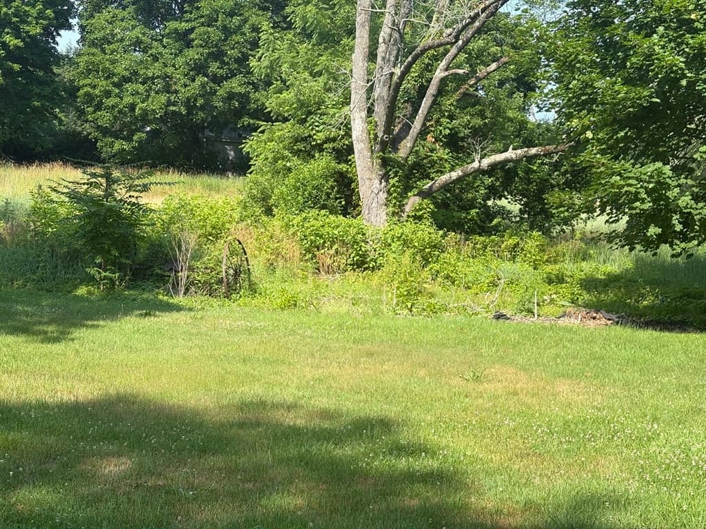 12 Nelson Pl, Worcester MA 01605 photo 9