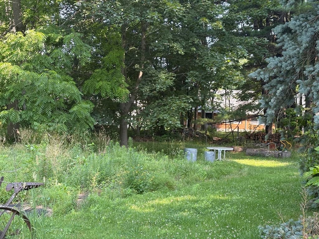 12 Nelson Pl, Worcester MA 01605 photo 10