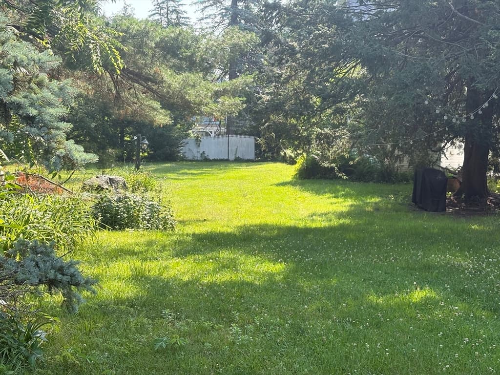 12 Nelson Pl, Worcester MA 01605 photo 11