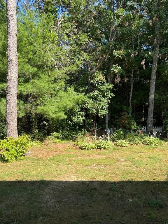 300 Falmouth Rd # 19C, Mashpee MA 02649 photo 5