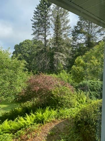Single Family Residence at 61 Arnold Rd, Pelham MA 01002, photo 27 of 40