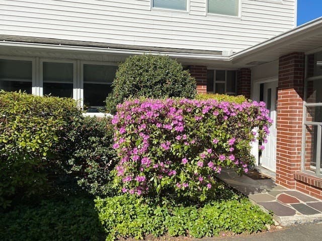Single Family Residence at 61 Arnold Rd, Pelham MA 01002, photo 36 of 40