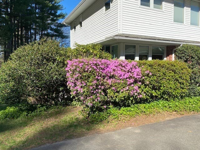 Single Family Residence at 61 Arnold Rd, Pelham MA 01002, photo 38 of 40