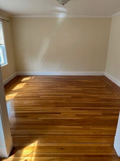 71 Palfrey Street # 71, Watertown MA 02472 photo 14
