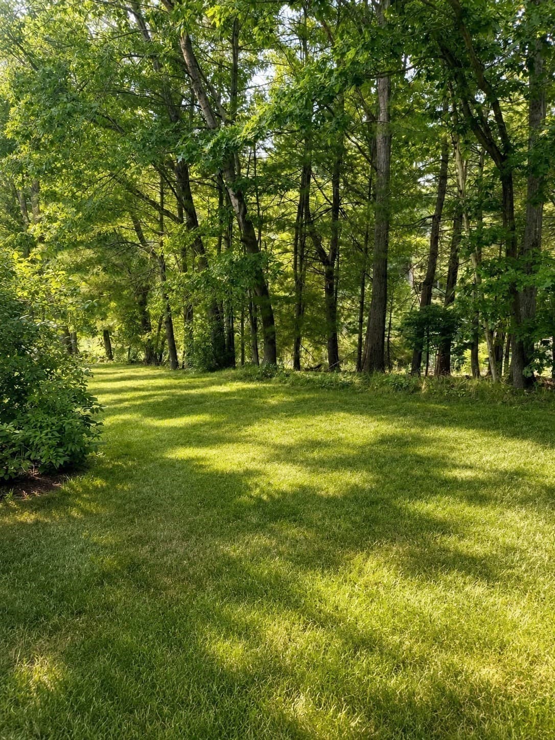 Condominium at 43 Jericho Road # 43, Weston MA 02493, Weston, photo 21 of 21