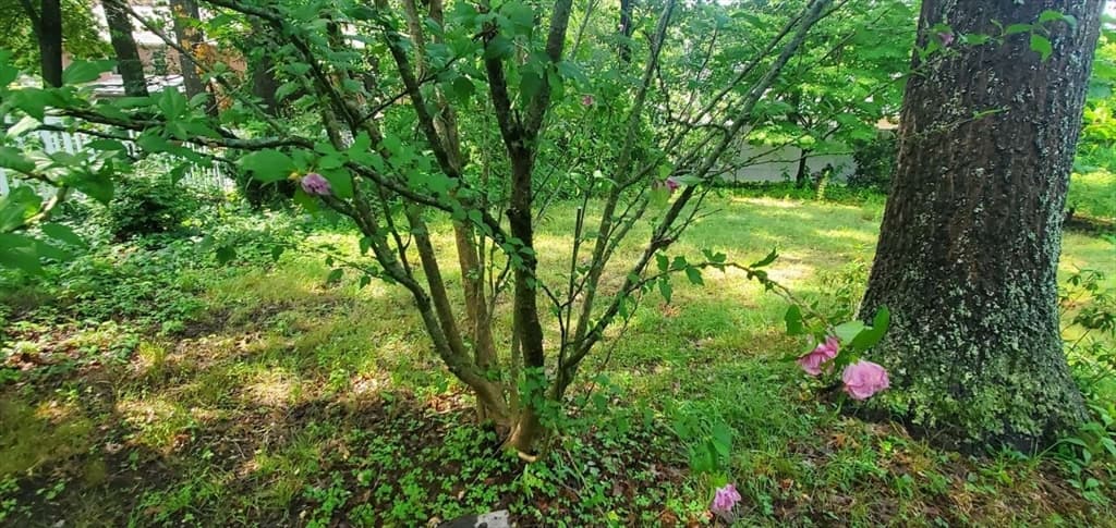 75 Woodruff Rd, Clinton MA 01510 photo 7
