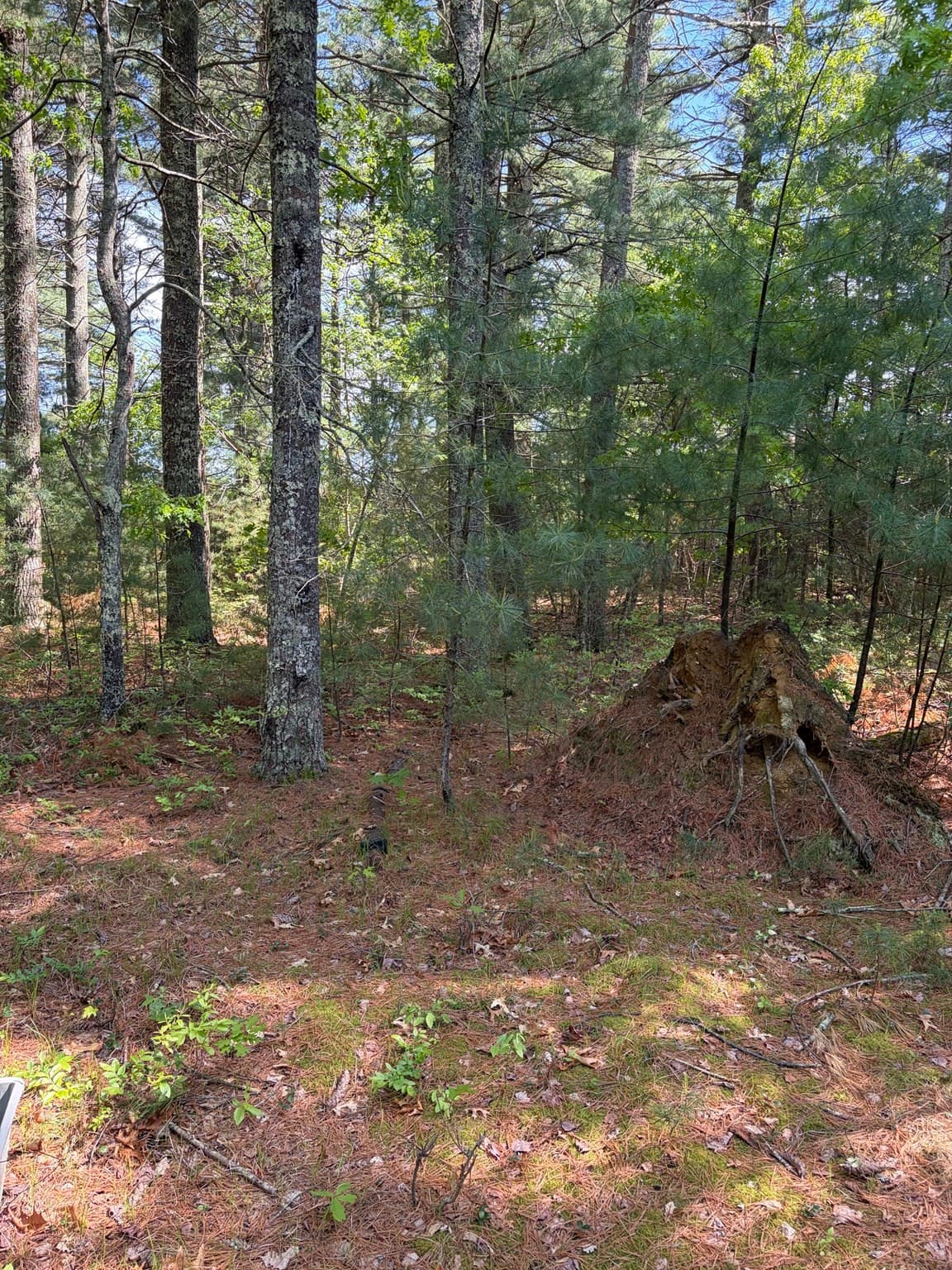 Commercial Sale at 35 Silva St, Carver MA 02330, photo 32 of 37
