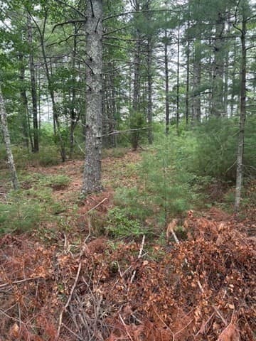 Commercial Sale at 35 Silva St, Carver MA 02330, photo 20 of 37