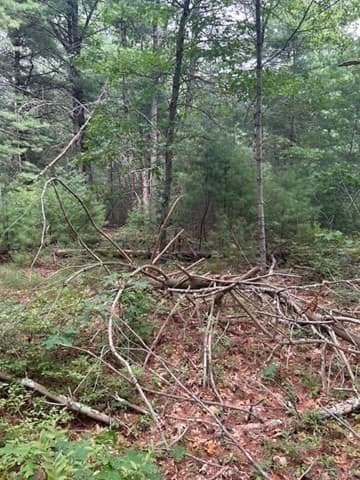 Residential at 35 Silva St, Carver MA 02330, photo 18 of 35