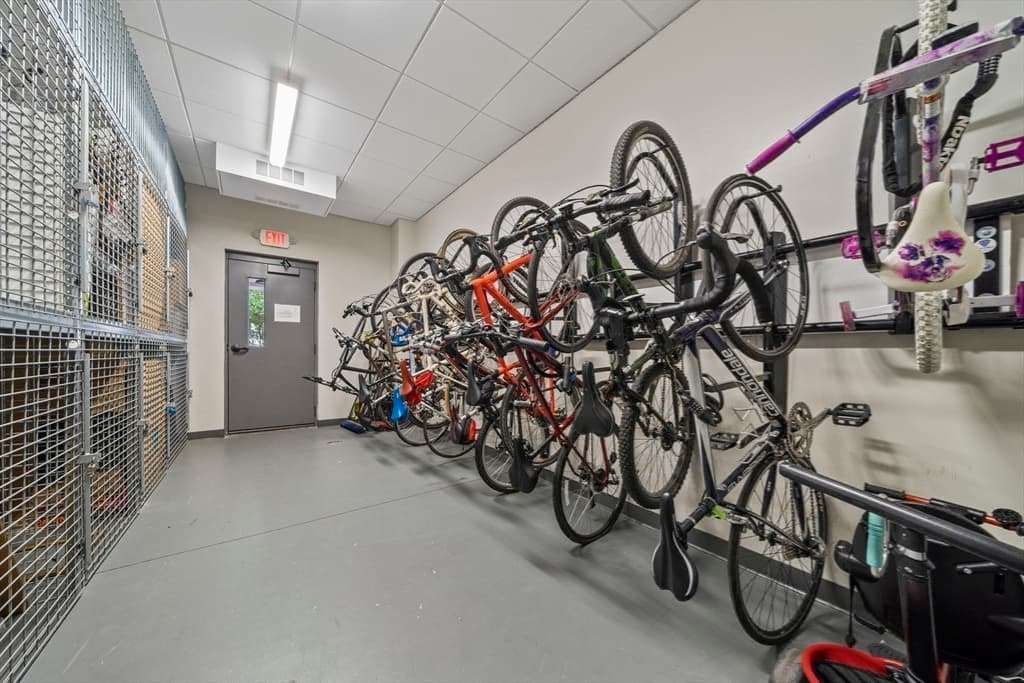 1650 Commonwealth Ave # 309, Boston MA 02135 photo 17