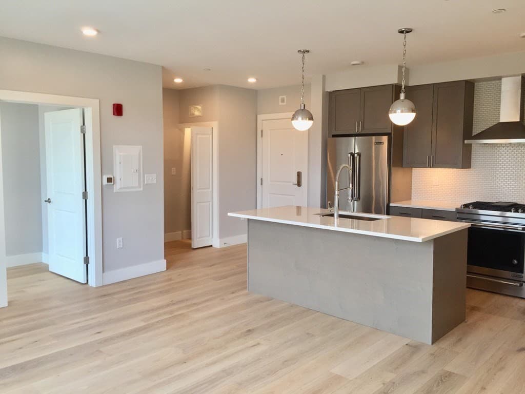 1650 Commonwealth Ave # 309, Boston MA 02135 photo 3