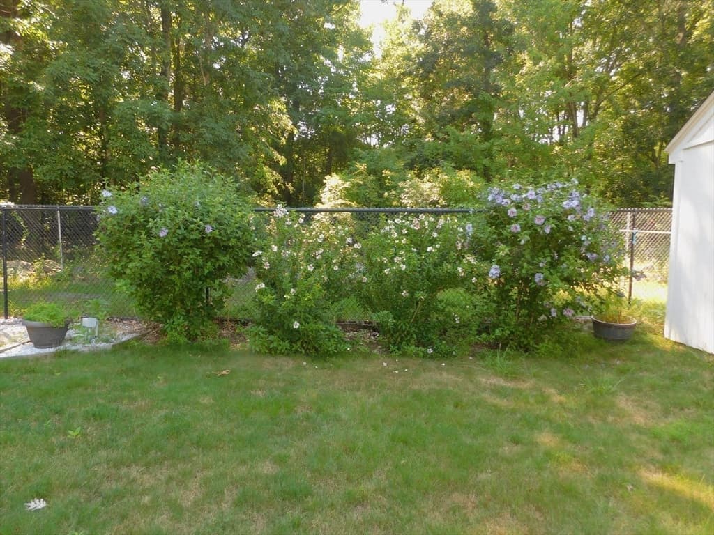 621 Marshall St, Holliston MA 01746 photo 24