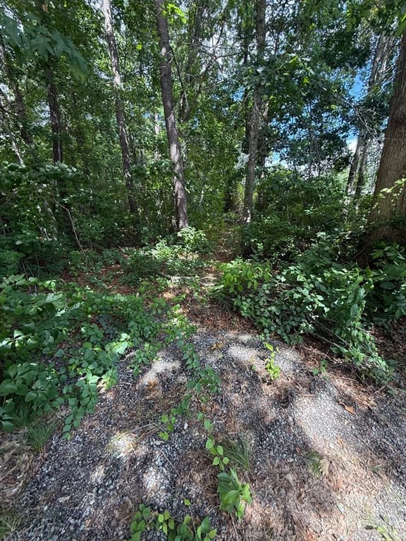 12 Taft St, Wareham MA 02571 photo 3
