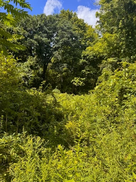 264 Breen Road, Hardwick MA 01082 photo 2