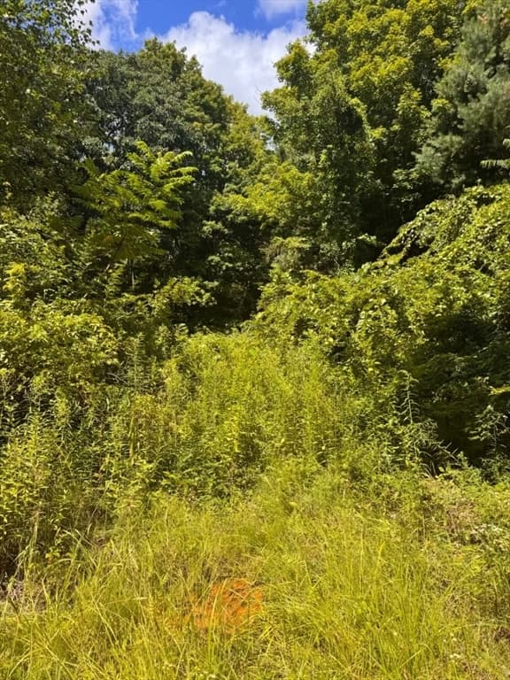 264 Breen Road, Hardwick MA 01082 photo 3