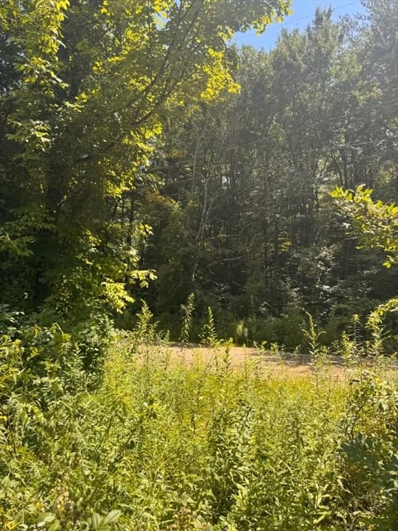 264 Breen Road, Hardwick MA 01082 photo 10