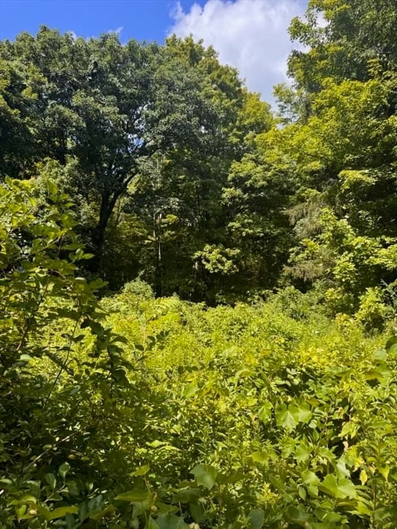 264 Breen Road, Hardwick MA 01082 photo 11