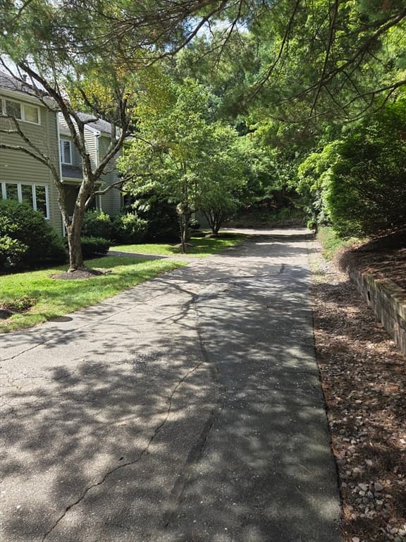 28 Pemberton St # B, Walpole MA 02081 photo 6