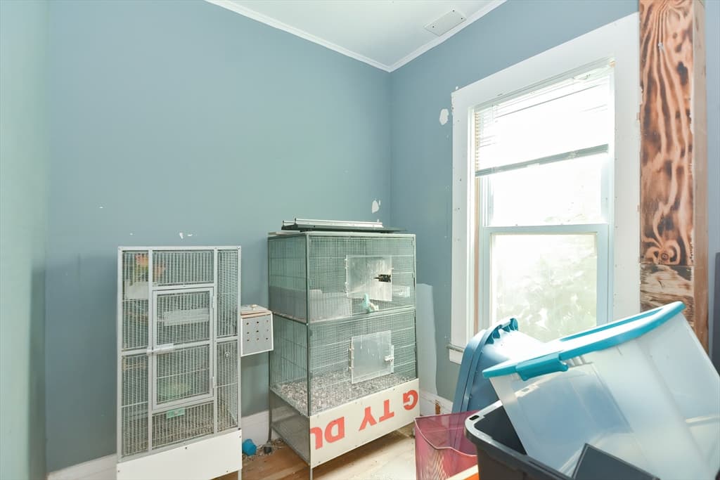 27 Houghton St, Boston MA 02122 photo 6