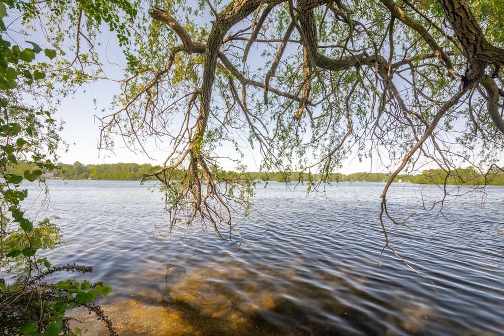 254 Lakeside Road, Hanson MA 02341 photo 24