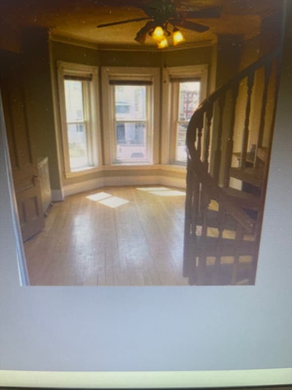 30 Alaska St, Boston MA 02119 photo 6