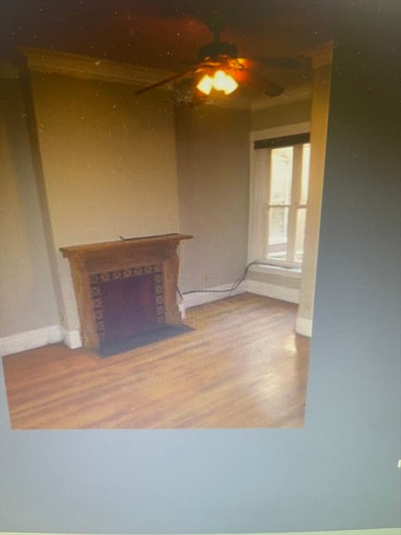 30 Alaska St, Boston MA 02119 photo 3