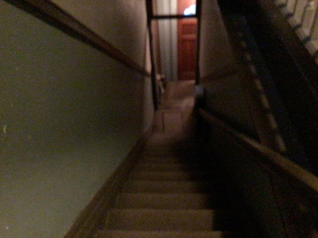 30 Alaska St, Boston MA 02119 photo 14