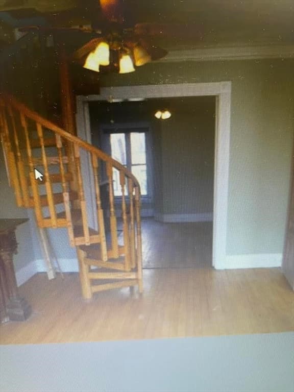 30 Alaska St, Boston MA 02119 photo 4