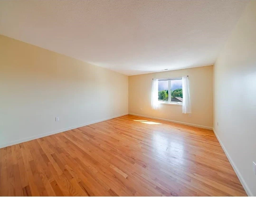 Condominium at 351 Pleasant St # 9, Northampton MA 01060, Northampton, photo 17 of 17